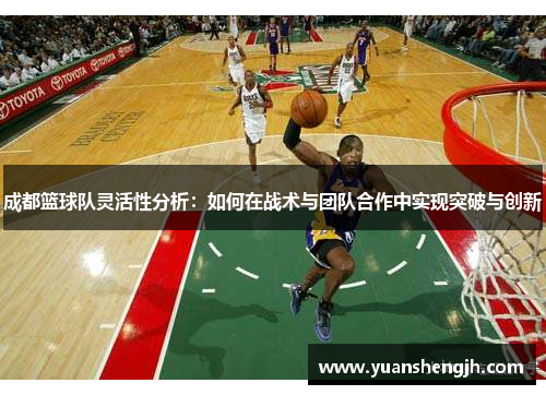 成都篮球队灵活性分析：如何在战术与团队合作中实现突破与创新