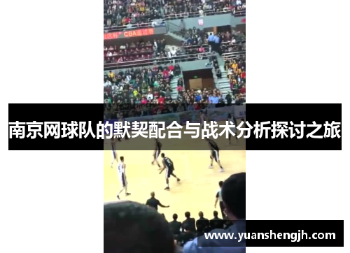 南京网球队的默契配合与战术分析探讨之旅