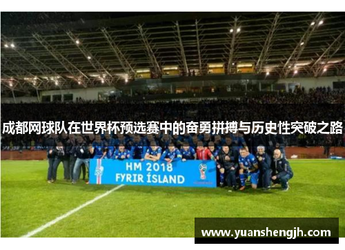 成都网球队在世界杯预选赛中的奋勇拼搏与历史性突破之路