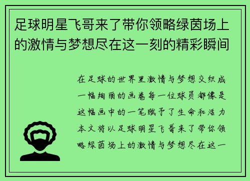 足球明星飞哥来了带你领略绿茵场上的激情与梦想尽在这一刻的精彩瞬间